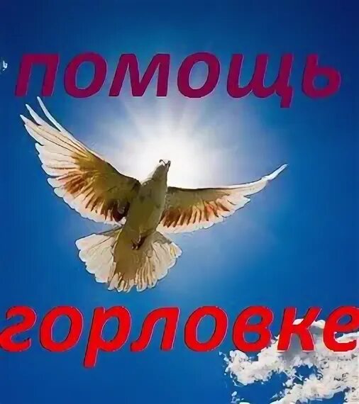 Горловка помощь. Горловка помощь