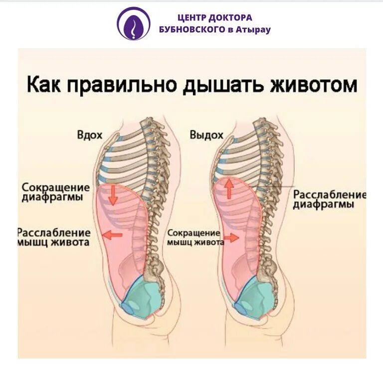 Упражнение для развития певческого дыхания детей. Дыхание диафрагмой при давлении. Дыхание диафрагмой при давлении. Мышечный насос, дыхательный насос. Диафрагмальное дыхание при беременности.