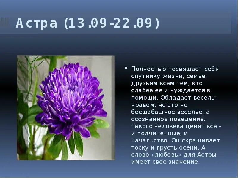 Дева цветок по гороскопу. Цветы по гороскопу. Цветочный гороскоп. Цветы и растения по гороскопу. Цветок Девы по гороскопу.