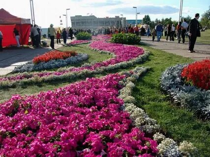 Цветы челны