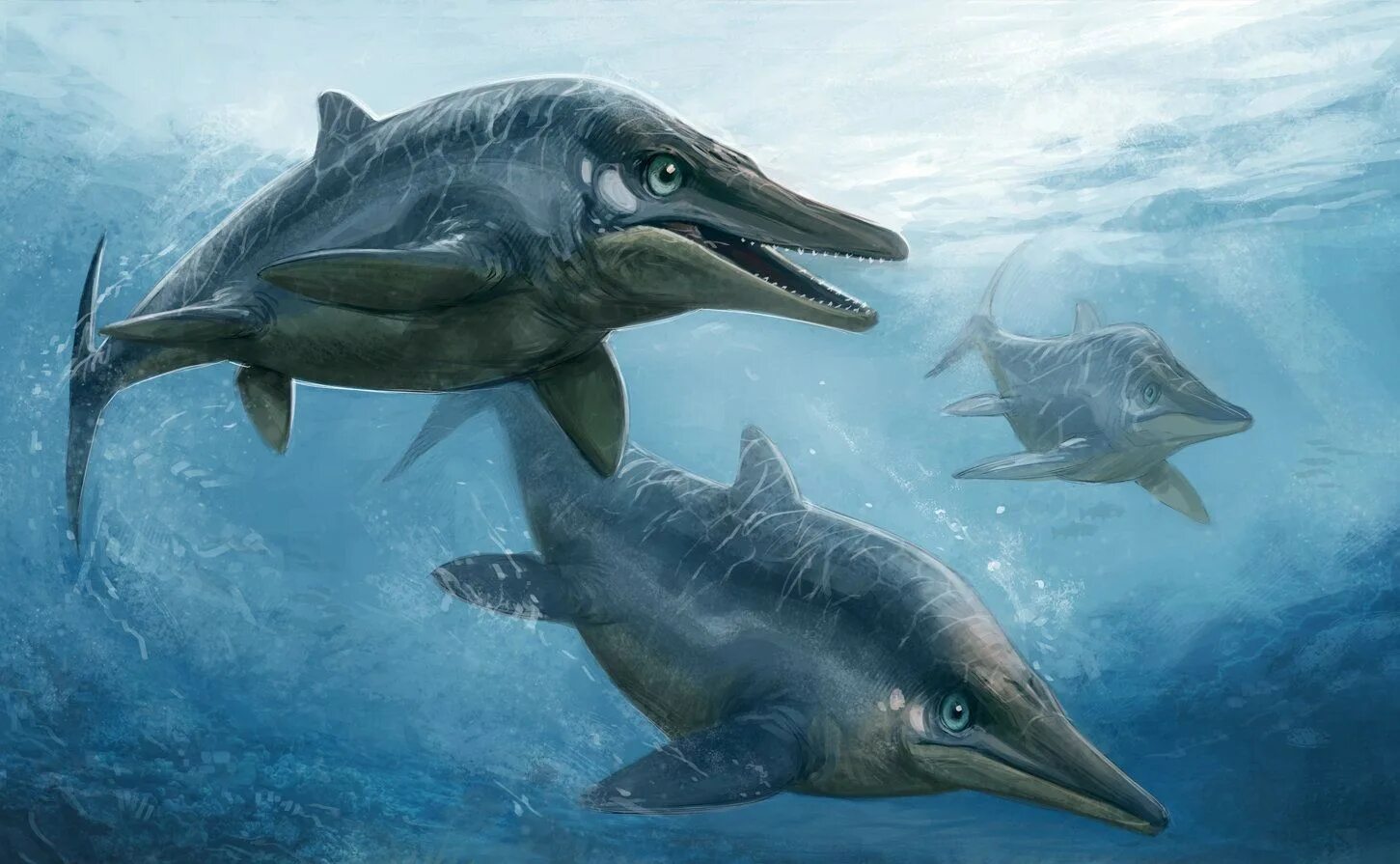 Акула ихтиозавр