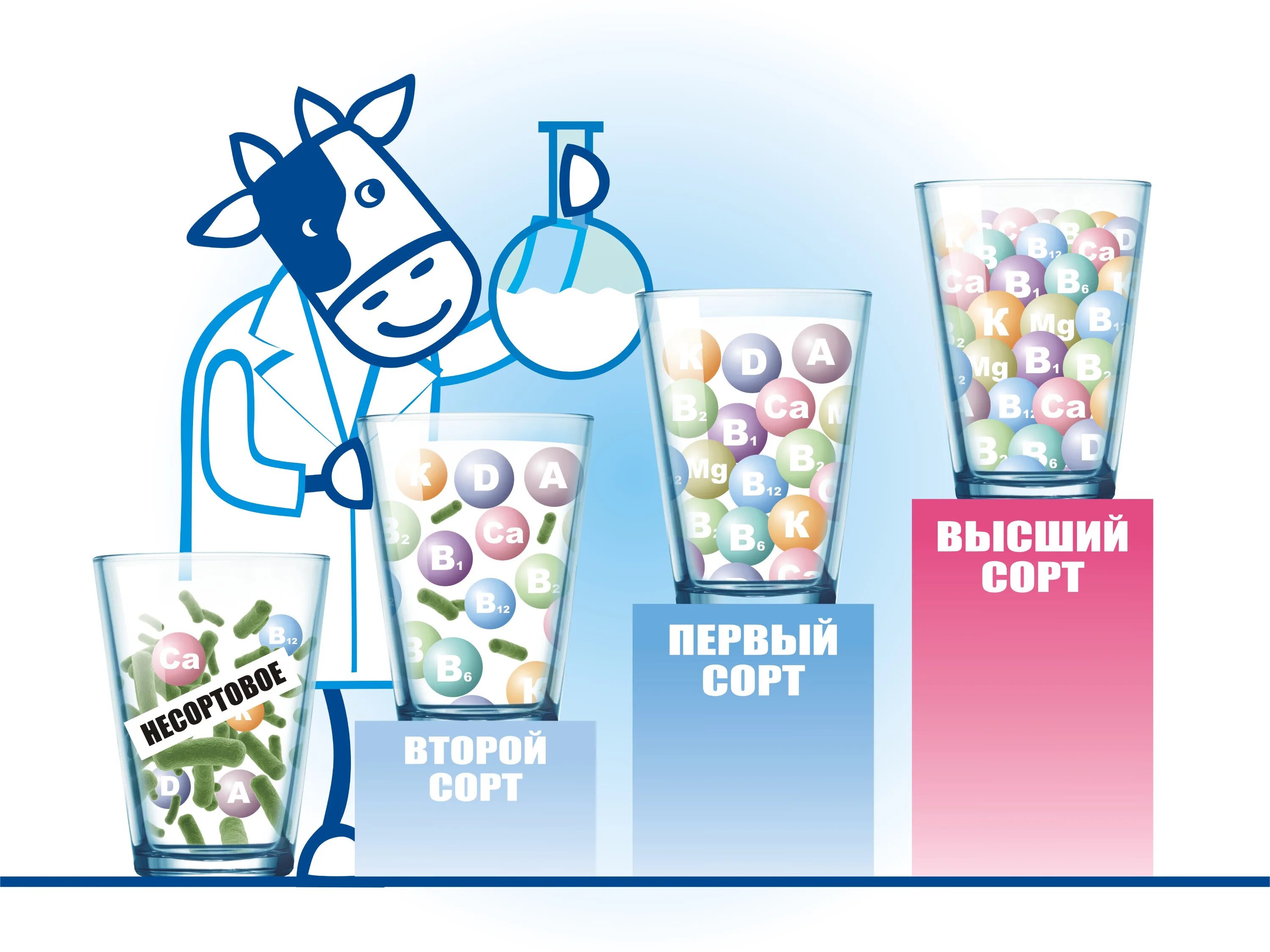 1 сорт молока. Молоко. сорта молока. молоко высокое качество. качество молока.