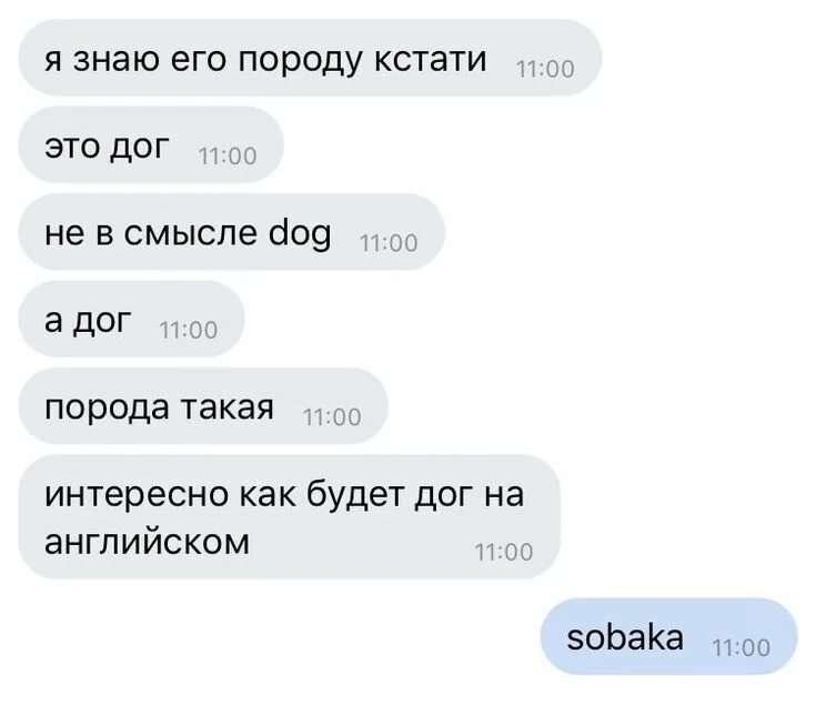 Как по английски будет дог. Как будет на английском Dog. Как дог по-английски. Как по английски дог sobaka.