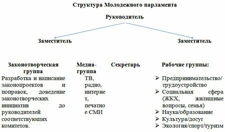 Молодежная структура