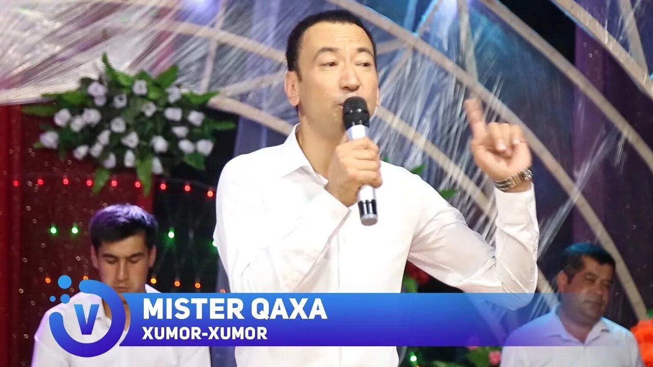 Mister qaxa. Мистер каха 2025. мистер каха кушиклари. mister qaxa блоггер. мистер каха mp3.