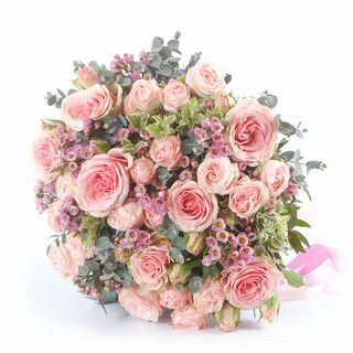 French rose