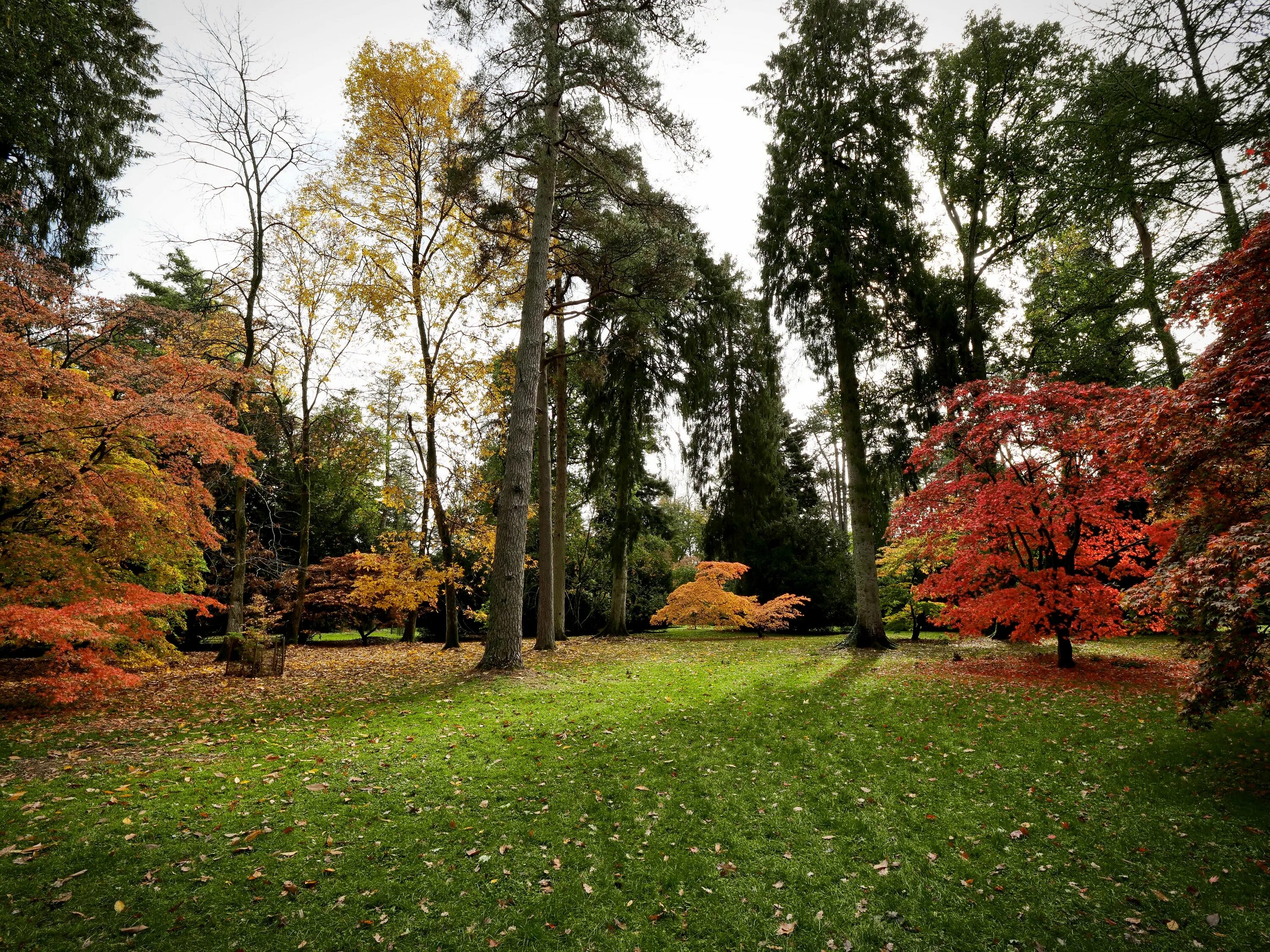 Uk parks. Осенний парк Англия. Осень и вид на парк. Ранняя осень в Англии. Английский парк осенью.