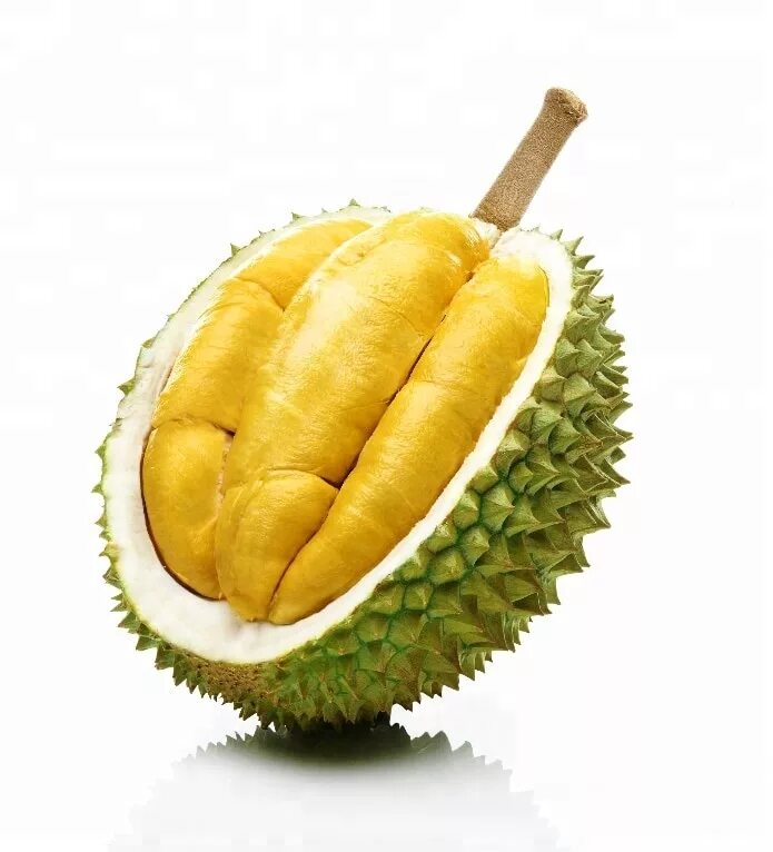Вонючий фрукт. Дуриан. durian фрукт. дуриан фрукт рисунок. дуриан кинг.