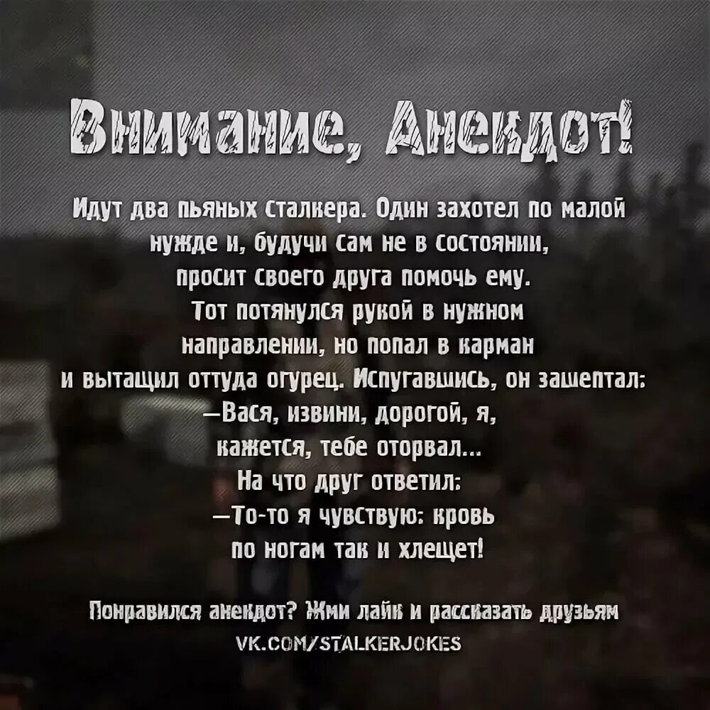 Анекдот появился в зоне черный сталкер. Анекдоты из сталкера. Stalker анекдоты. Шутки про сталкер. Анекдот про чёрного сталкера.