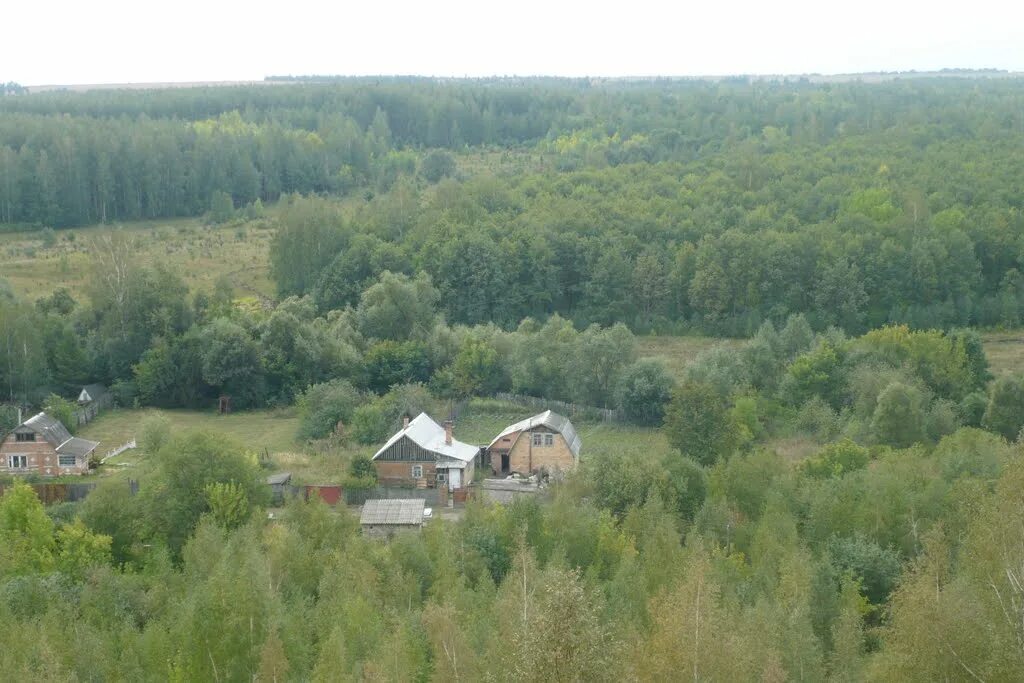 Школа 14 бегичево тульская область. Школа поселок бегичевский тульская. Бегичевский лес тульская область. Бегичевский тульская. Поселок бегичевский тульская.