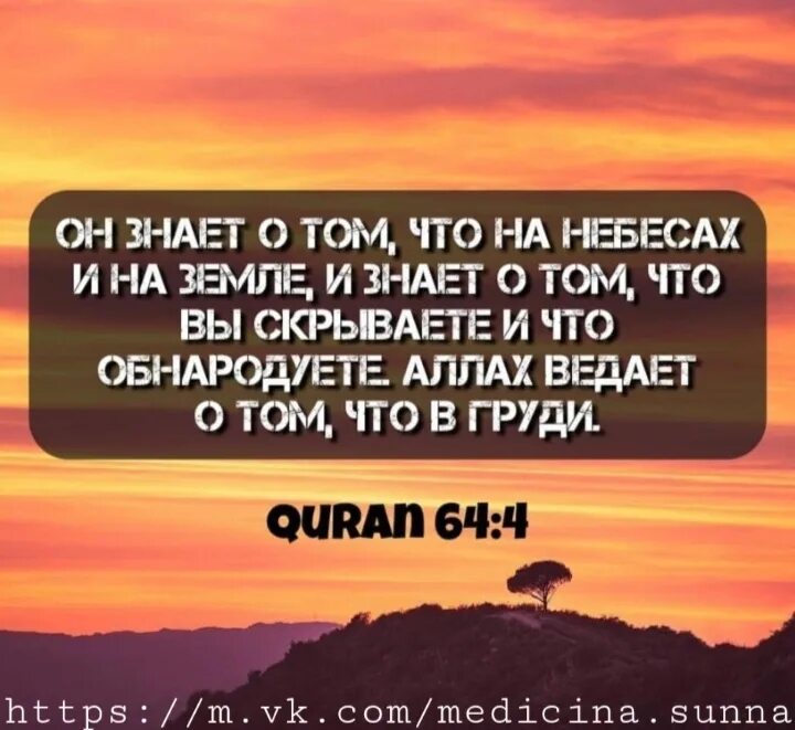 Добро пожаловать во взрослую жизнь она паршивая но ты втянешься. Добро пожаловать во взрослую жизнь. Хадисы пророка мухаммеда достоверные. Знал он что ту землю. Стих молитва окуджава.