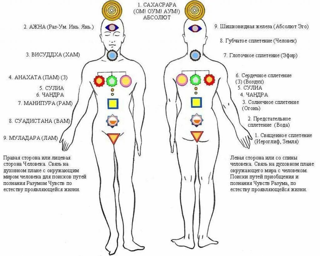 Болит спина солнечное сплетение. Энергетические центры человека схема расположения. Энергетическая система человека и чакры. Психосоматика болезней по чакрам. Расположение чакр на теле человека.