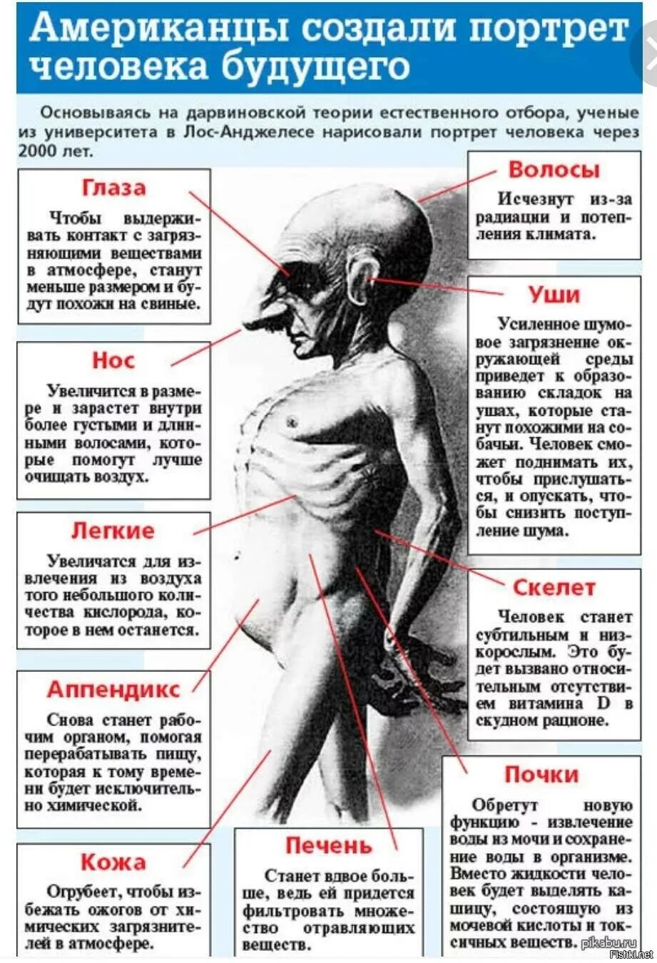 Сколько лет человечеству