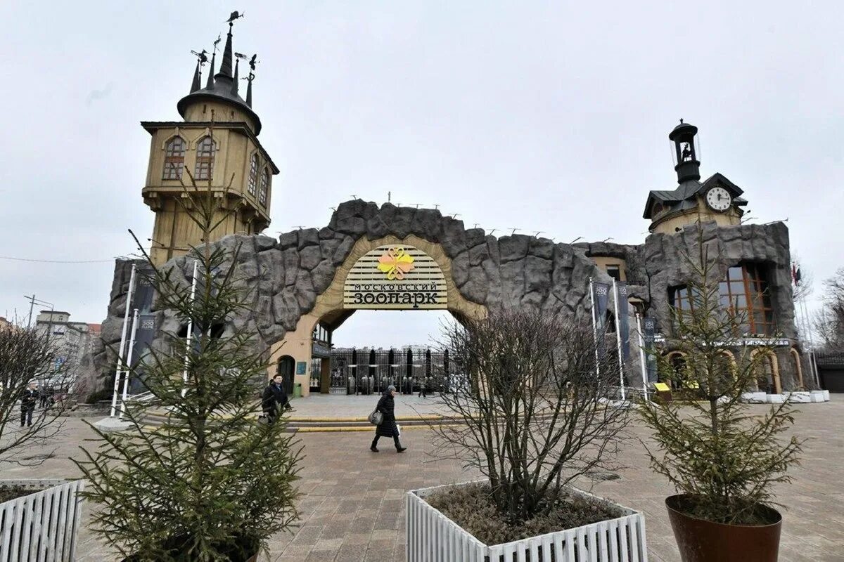 Зоопарк москва часы. Часы московского зоопарка. Московский зоопарк на баррикадной. Музей московского зоопарка. Часы московского зоопарка.