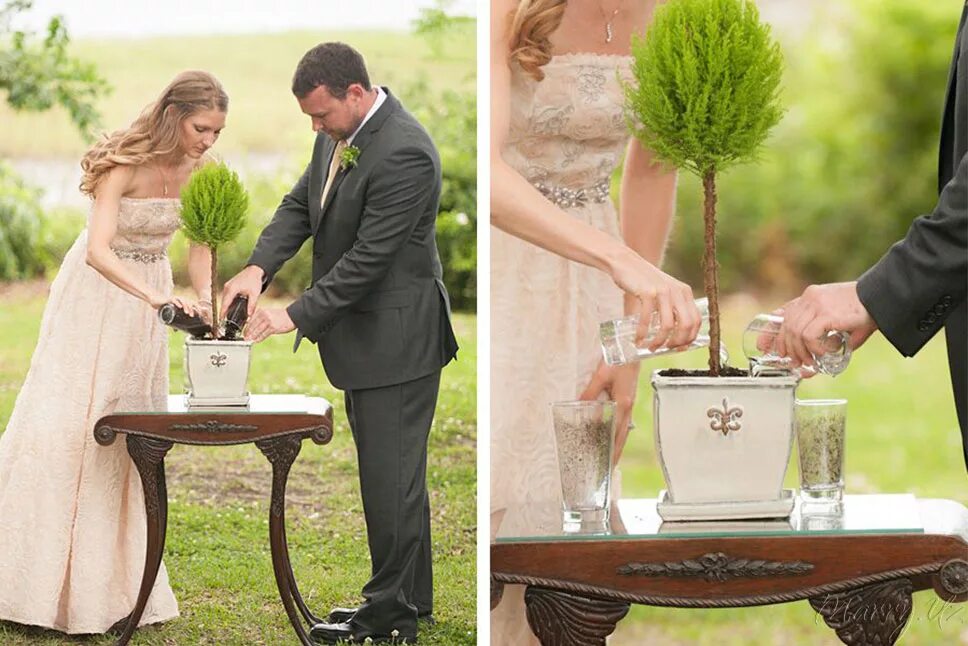 Брачное дерево. Церемония посадки дерева. Посадка дерева на свадьбе. Церемония посадки дерева на свадьбе. Молодожены сажают дерево.