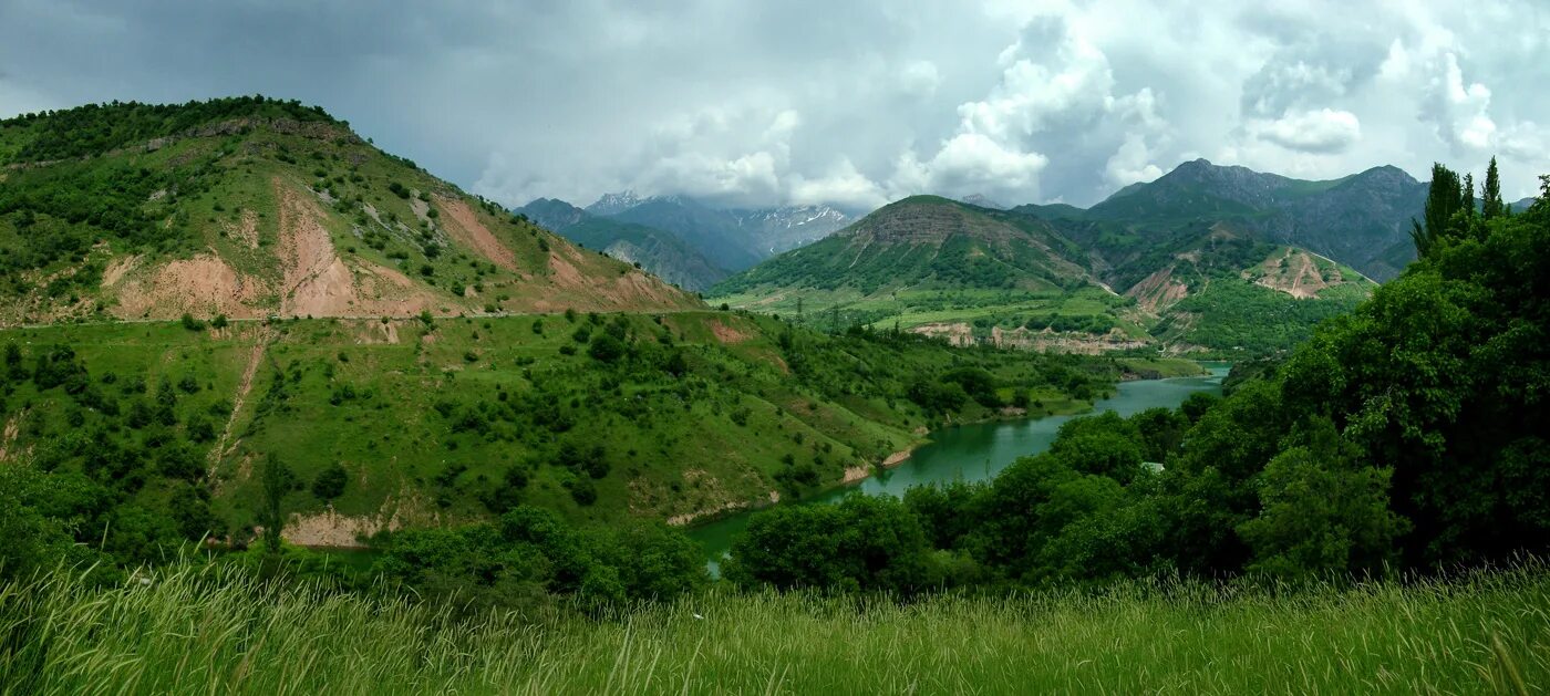 Лес северного кавказа. СКФО природа. Северо-кавказский федеральный округ климат. Северо-кавказский федеральный округ леса. Климат СКФО.