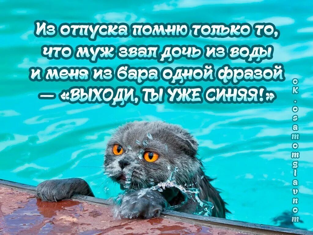 Жизнь после отпуска. Открытка первый день после отпуска. поздравление с выходом из отпуска прикольные. на работу после отпуска приколы. открытка с выходом на работу из отпуска.