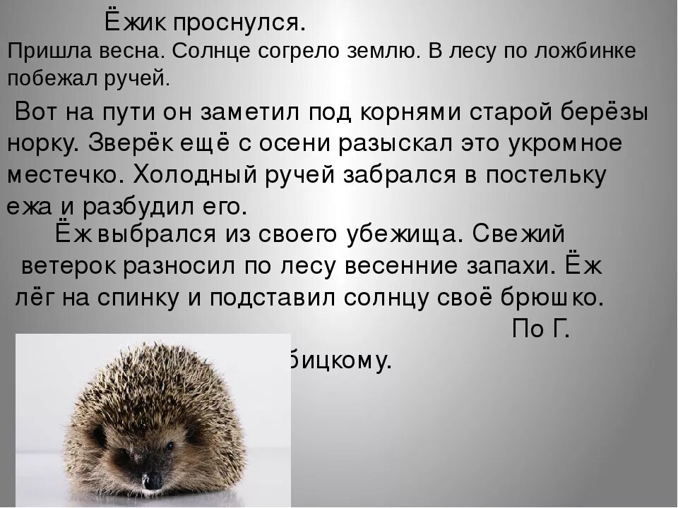 Какие слова на еж. Какие слова на еж