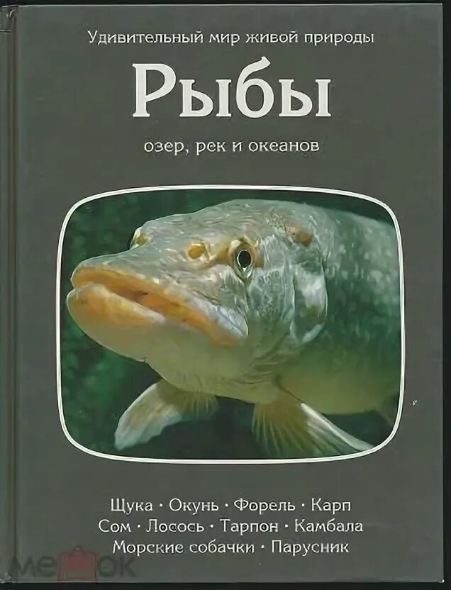 Всемирная иллюстрированная энциклопедия. Энциклопедия рыб. Мистика средней полосы аст. Книга рыбы рек и озер. Энциклопедия про рыб для детей.