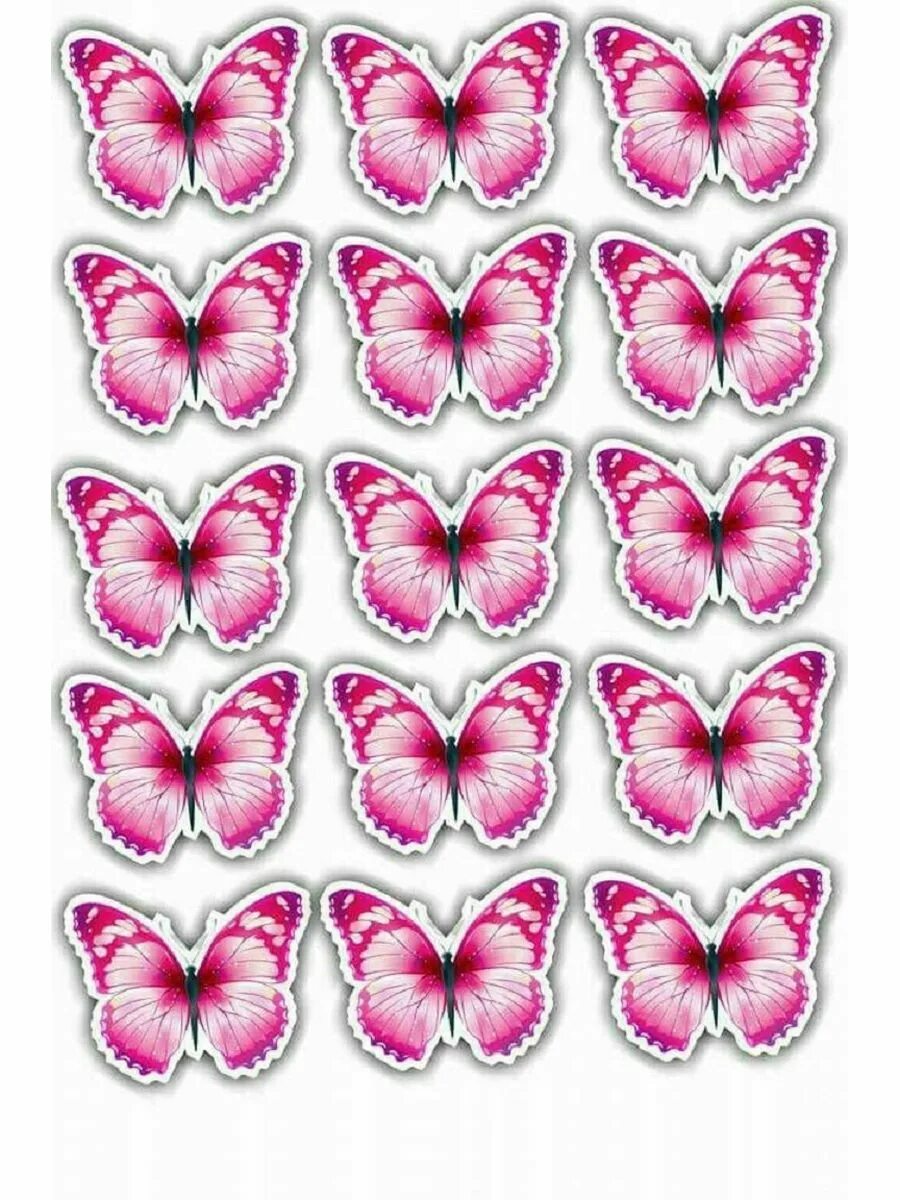Розовые бабочки. Бабочки для печати. Бабочки для вафельной печати. Бабочки цветные.