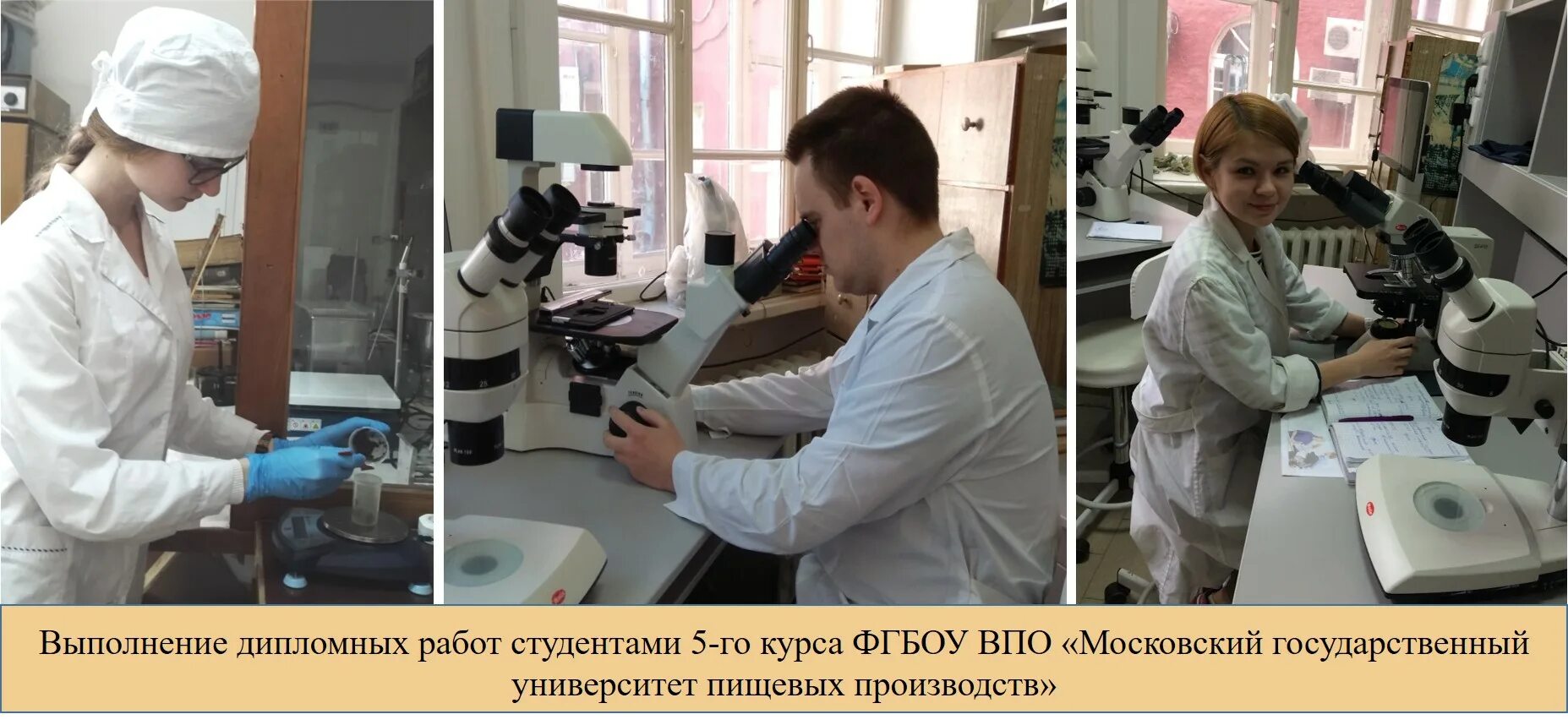 Лаборатории паразитологии. Микробиология ветеринарно санитарная экспертиза. Микроскоп исследование. Гистологическая техника методы. Паразитологическое исследование кала.