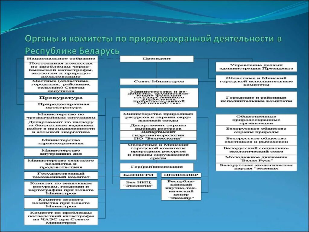 Природоохранная деятельность. Органы природоохранной деятельности. Органы природоохранной деятельности схема. Природоохранная деятельность Беларуси. Основа природоохранной деятельности