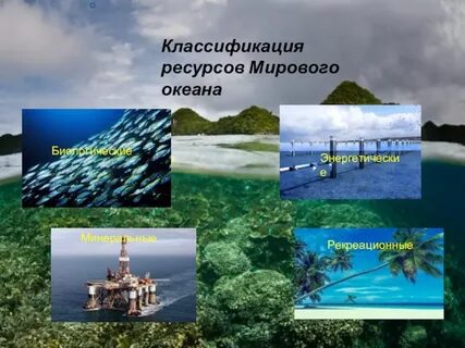 Какие ресурсы океана можно назвать ресурсами будущего