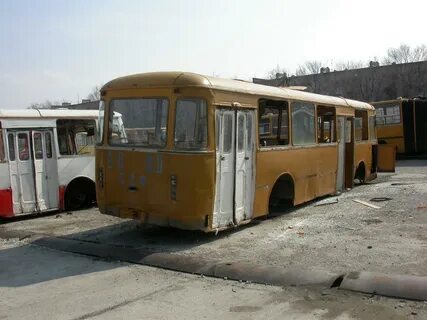 Черникова автобусы