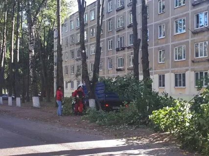 Новосиньково дмитровский