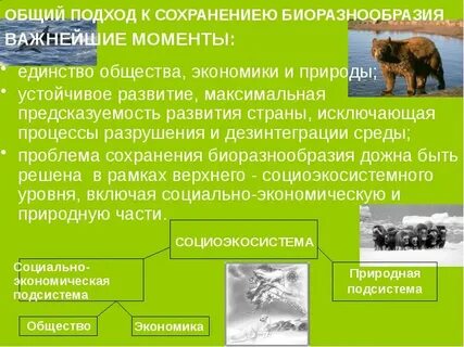 Эволюция экосистем