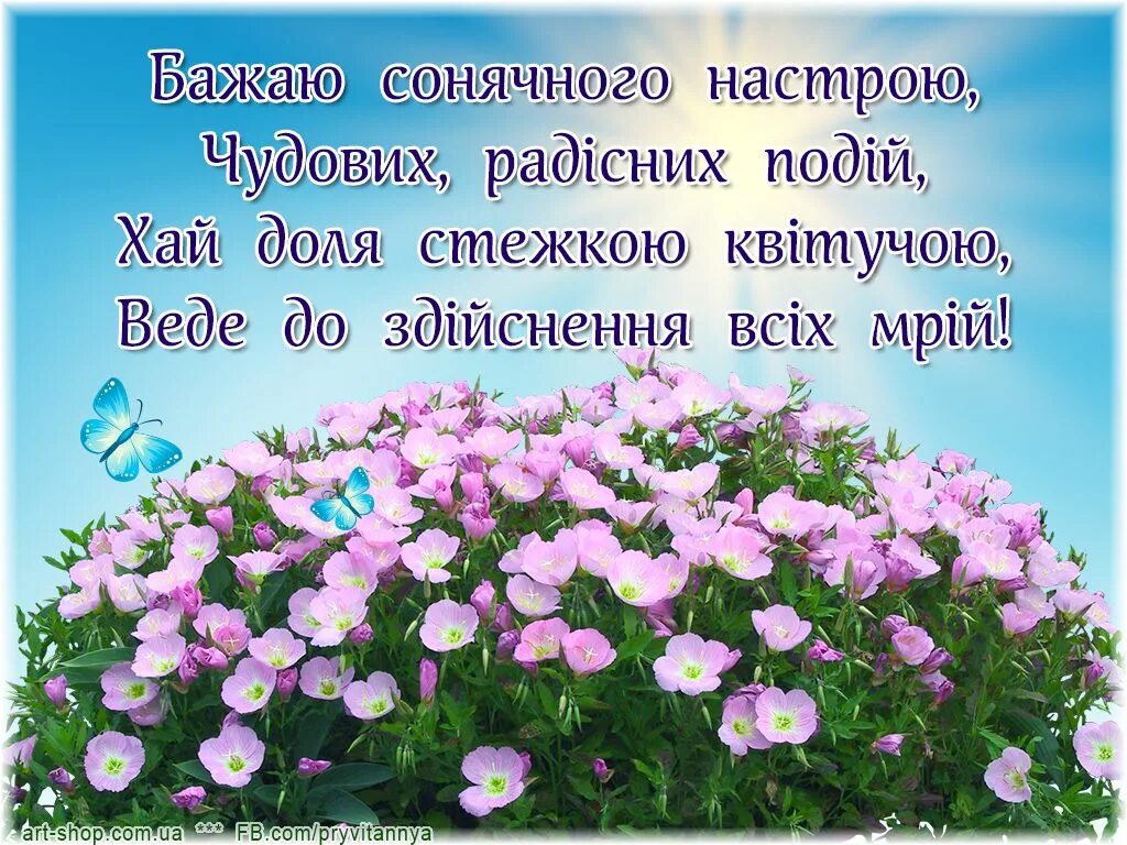 Пожелания счастья на украинском языке. Бажаю гарного дня. Побажання на українській мові. Пожелания на украинском. Добрые пожелания на украинском языке