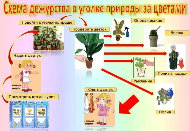 Ухаживание за растениями в детском саду. Комнатные растения в детском саду средняя группа. Комнатные цветы в доу. Труд в природе в детском саду. Уголок природы содержание.