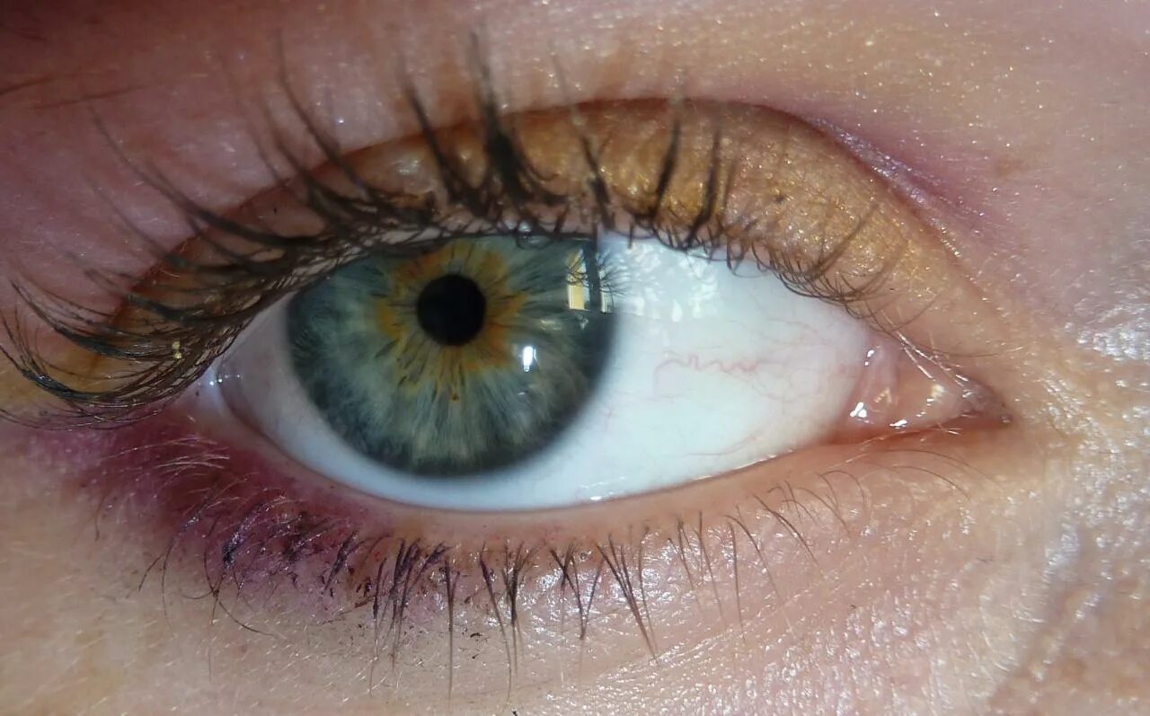 Le yeux. Le yeux