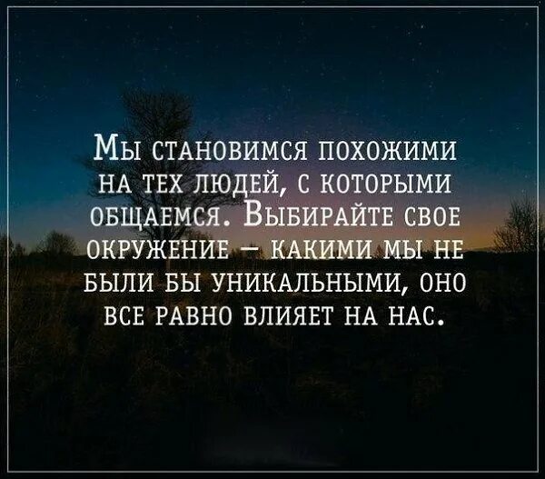 Меняется окружение. Цитаты про окружение. Цитаты про окружение человека. Афоризмы про окружение. Афоризмы про окружение человека.