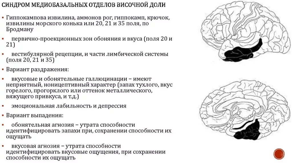 Синдромы поражения медиобазальных отделов височной области мозга. Медиобазальные отделы коры лобных долей мозга. Медиобазальные отделы височной доли поражение. Поражения медиобазальных отделов лобных и височных долей. Синдромы поражения коры