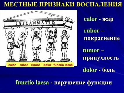 Местные и общие признаки воспаления