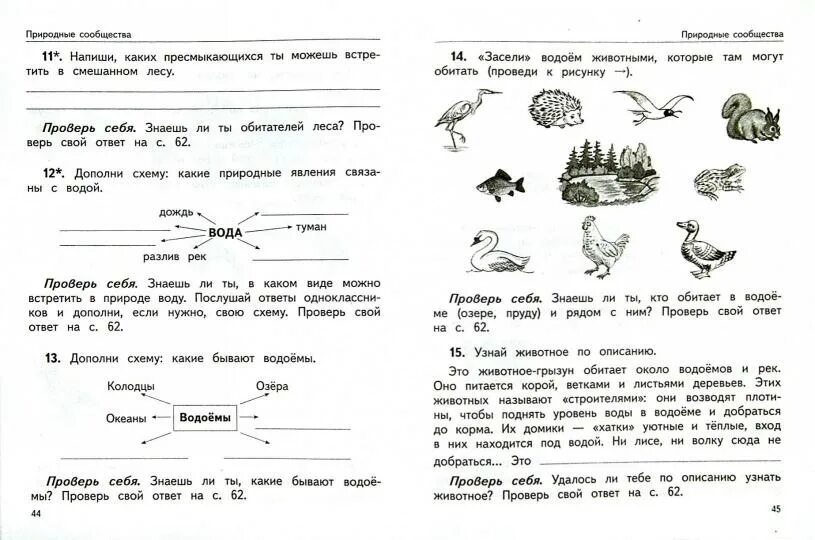 Задания по олимпиаде окружающий мир 1 класс