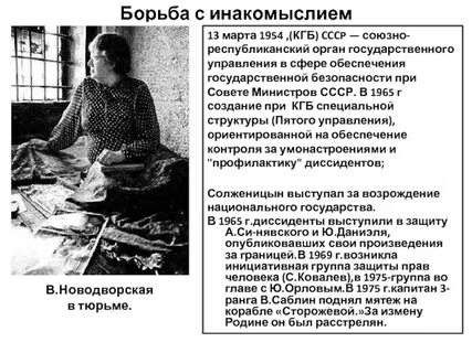 Политическое инакомыслие
