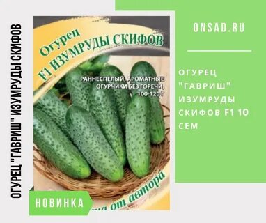 1 огурец 1 лист