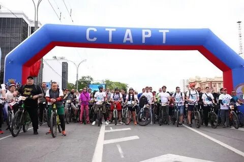 Сатья ростов на дону 2024