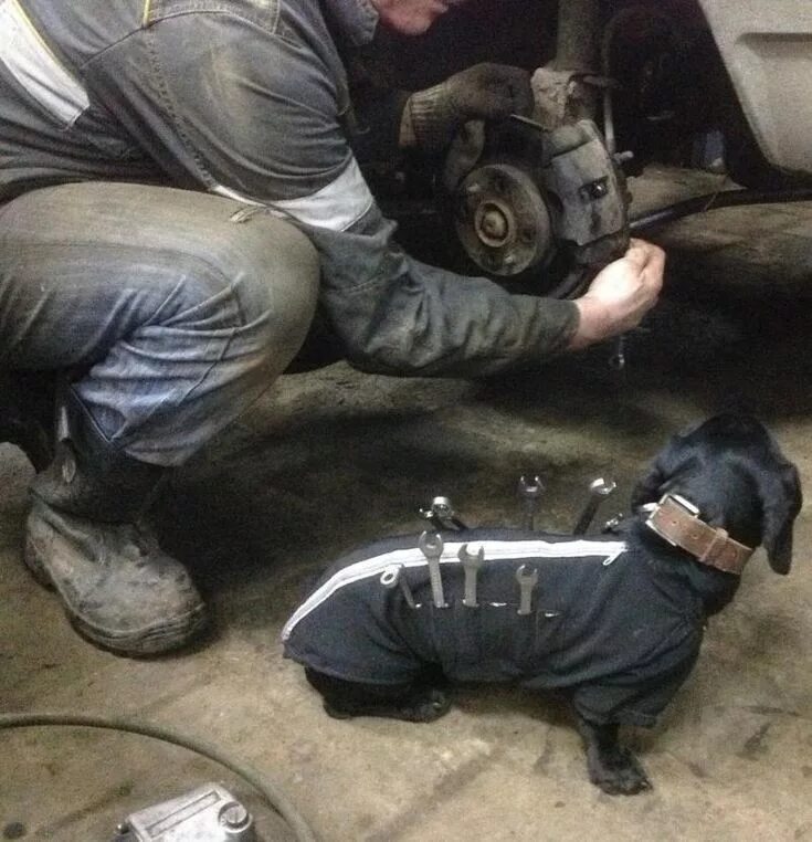Так и будешь ключи подавать