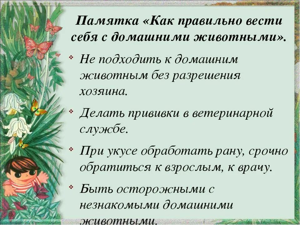 Как нужно обращаться к человеку. Как вести себя с животными. Памятка как правильно себя вести с животными. Как вести себя с животными детям. Правила общения с домашними питомцами.