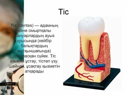 Порно жезөкшелер