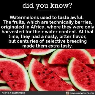 Interesting know