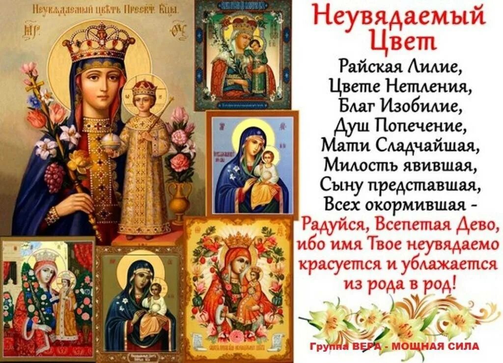 Молитва богородице неувядаемый. Неувядаемый цвет икона божией матери. 16 апреля икона неувядаемый цвет. икона богородицы неувядаемый цвет молитва. тропарь богородице неувядаемый цвет.
