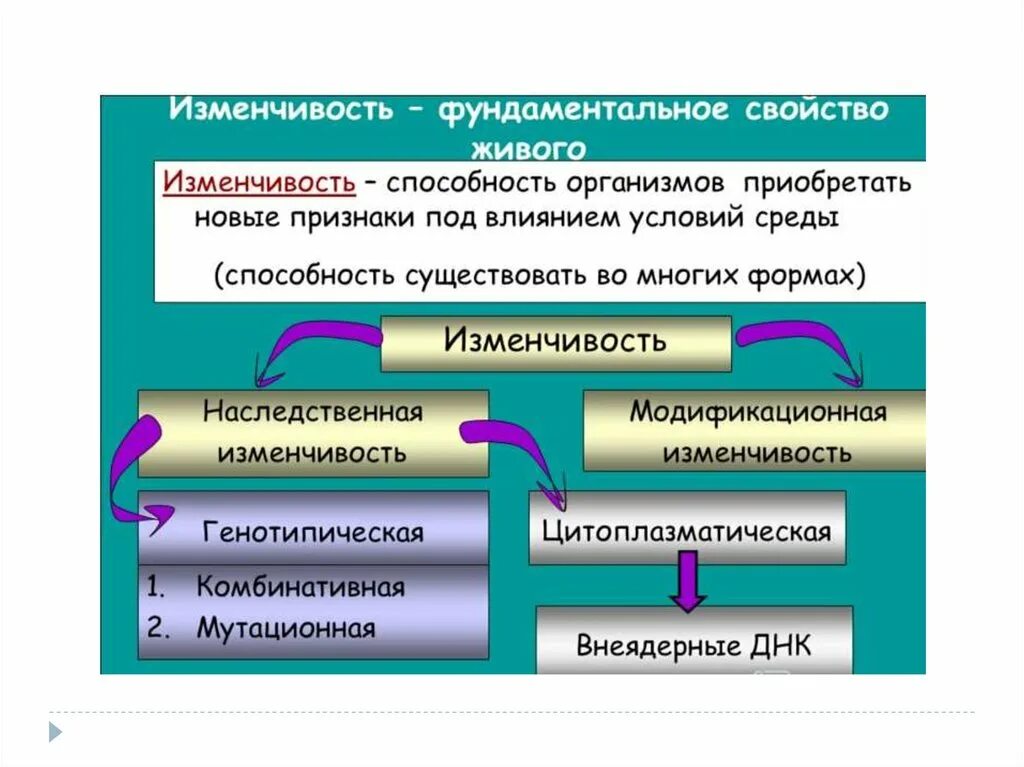 Способность организма приобретать новые признаки и свойства. Фундаментальные свойства живого. Изменчивость способность организмов приобретать новые признаки. Структурная организация как свойство живого. Приобретение новых свойств живыми организмами