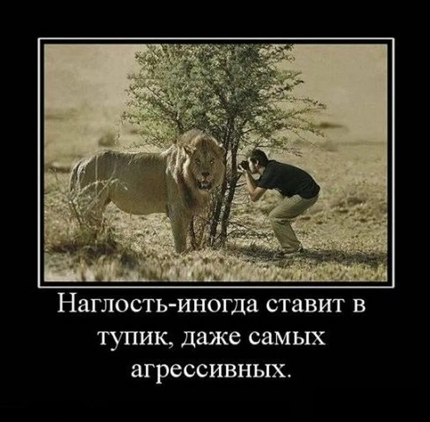 Не имеющее границ