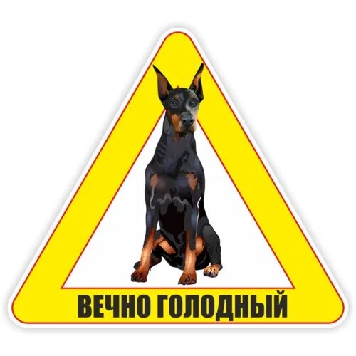 Вечно голодный. Вечно голодный кот. Самый голодный человек в истории тарраре. Вечно голодный студент картинки. Ресторан vr очках.