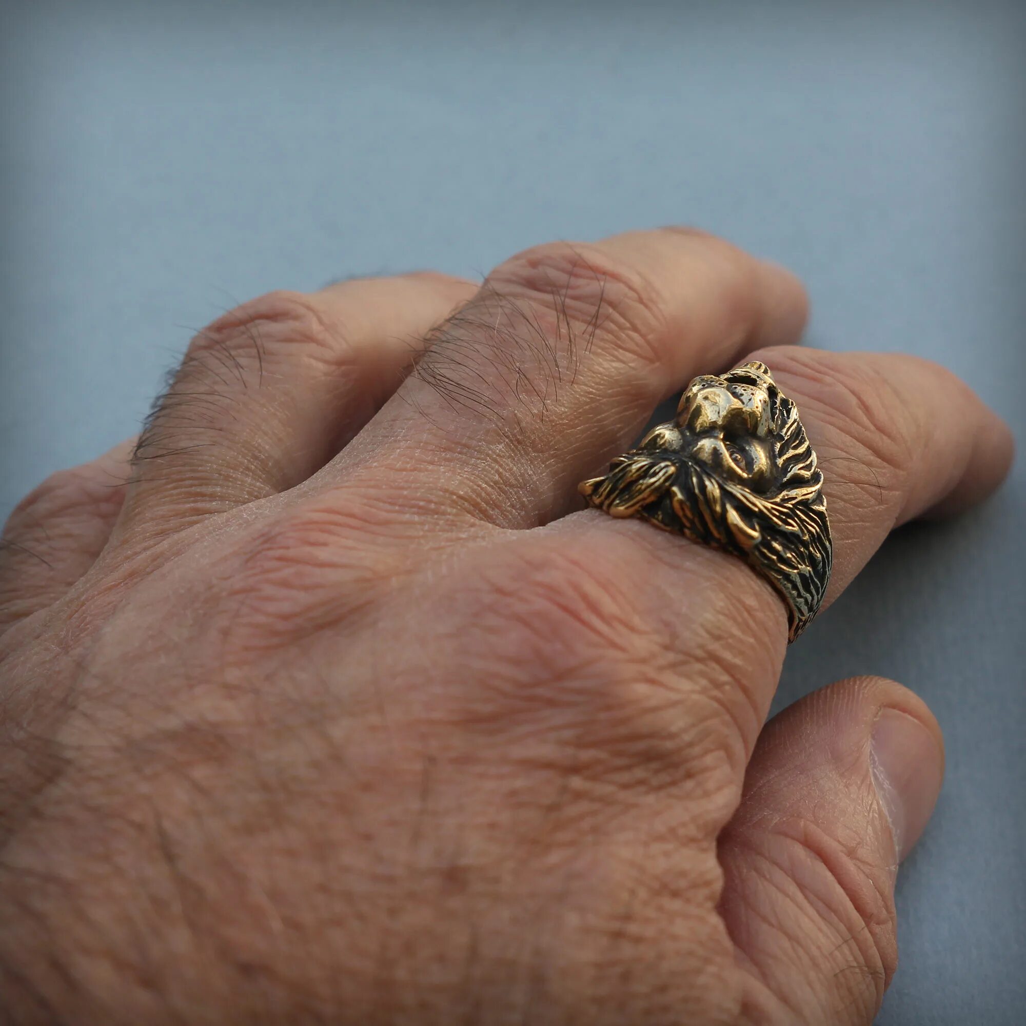 История одной семьи дзен бронзовое кольцо. Кольцо из бронзы. Золотое кольцо со львом. Бронзовое кольцо дзен. Бронзовый перстень Лев мужской.