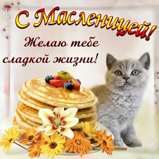 Иниц